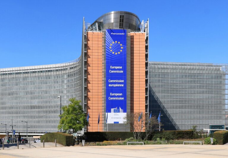 European Commission publishes key documents related to the implementation of the EUDR